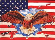 US Zászló Sassal