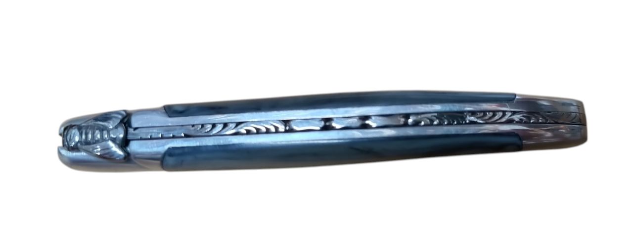 Laguiol 6813
