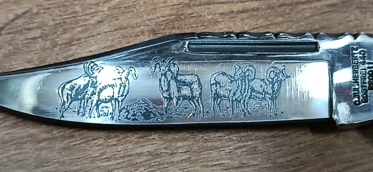 Herbertz 220011 vadász zsebkés – díszített 440-es acél penge, fehér Stamina fa nyél, gyűjtői darab