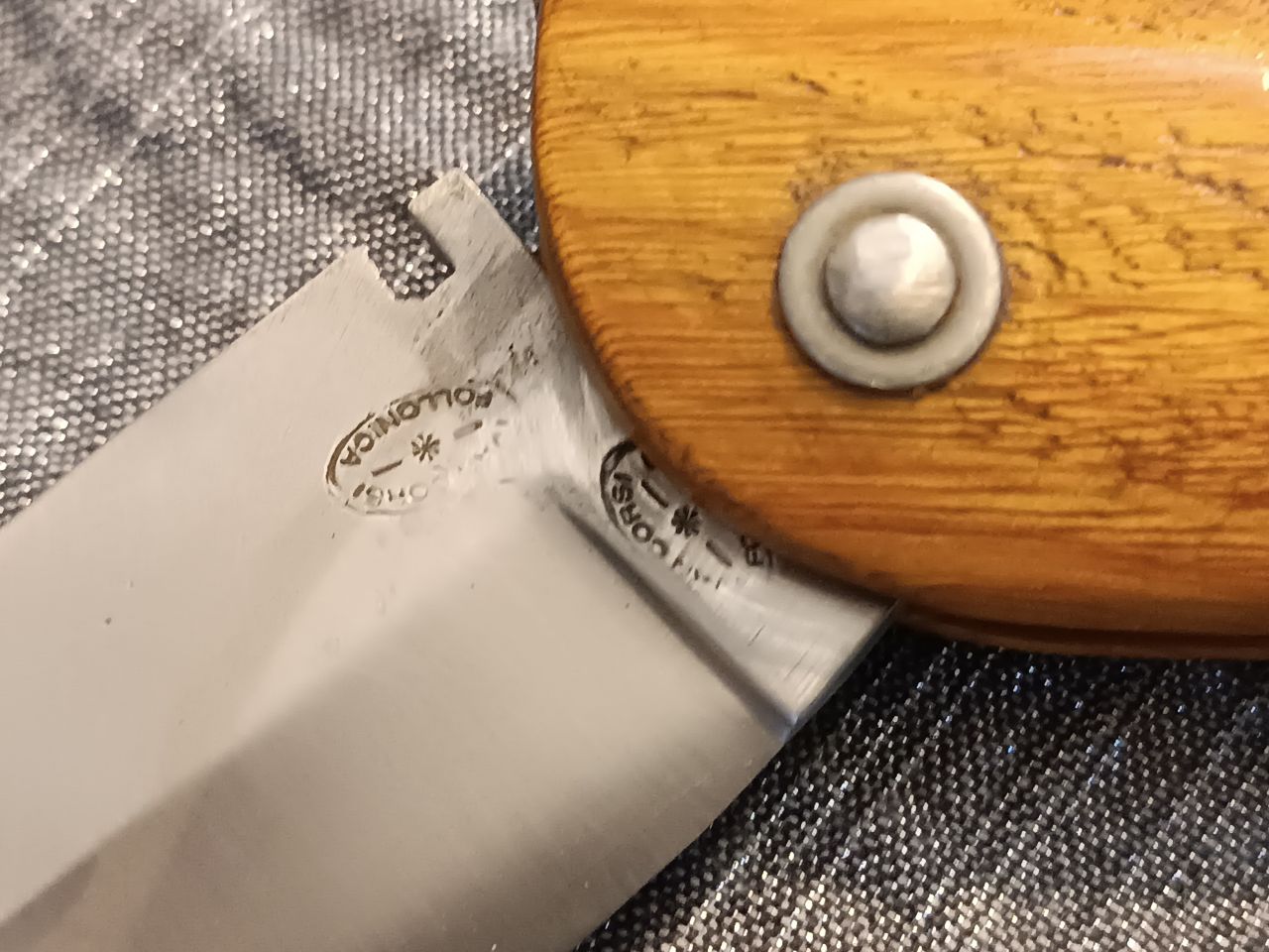 Ivan Corsi Follonica 'BOSSO'