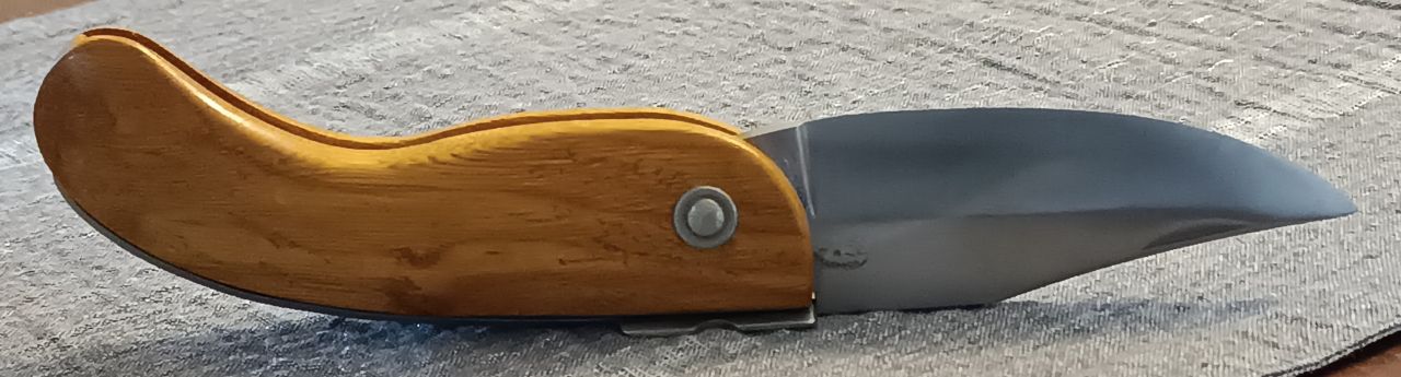 Ivan Corsi Follonica 'BOSSO'