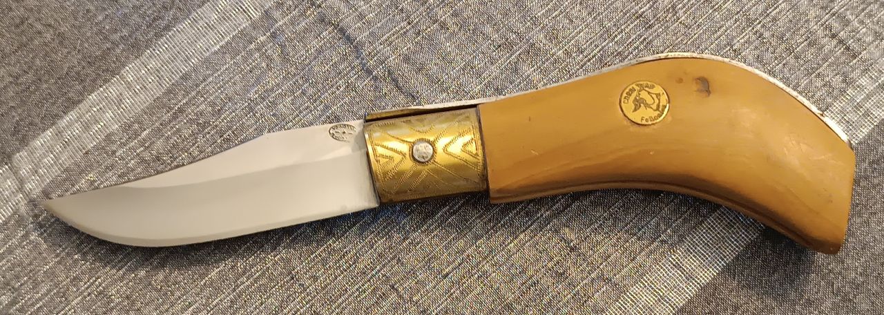 Ivan Corsi Follonica