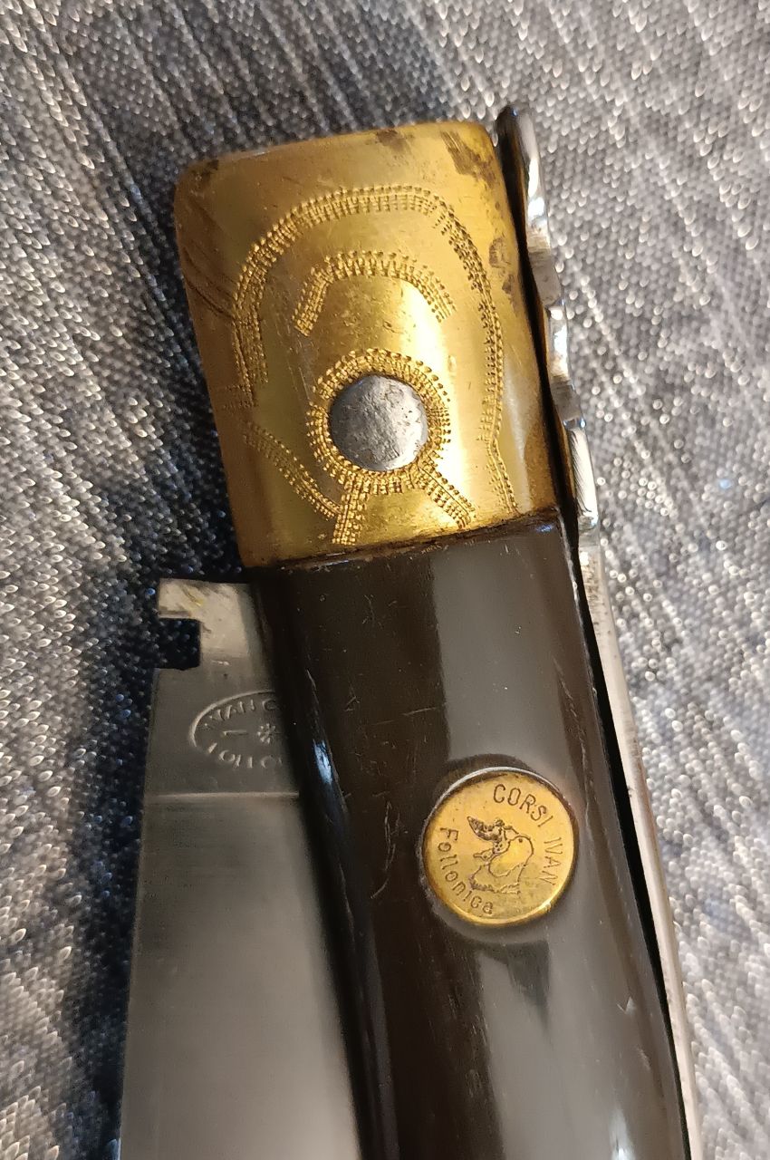 Ivan Corsi Follonica Ivan Corsi Follonica