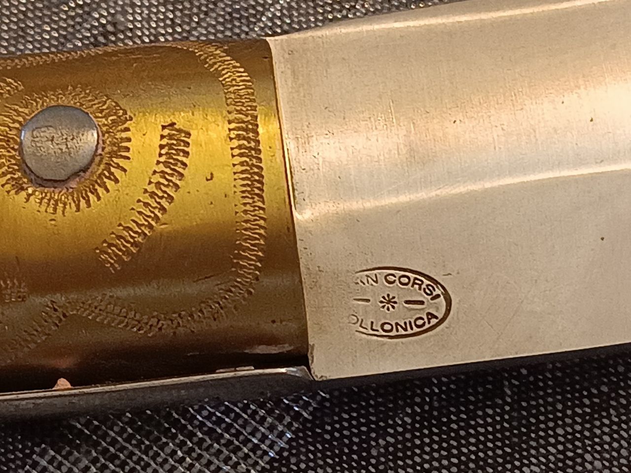 Ivan Corsi Follonica