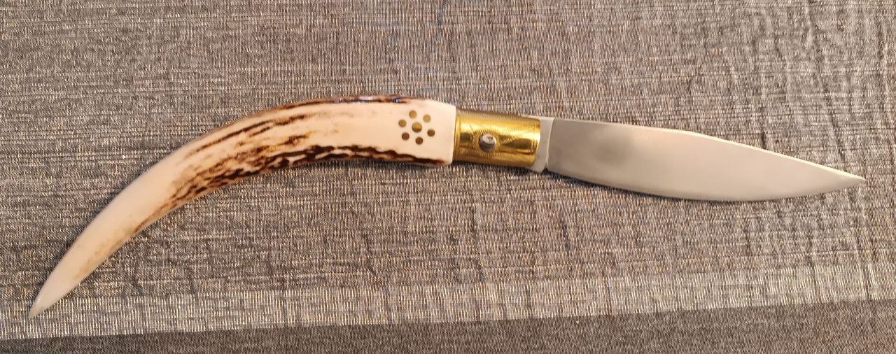 Ivan Corsi Follonica Ivan Corsi Follonica