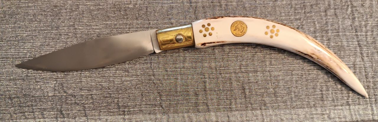 Ivan Corsi Follonica Ivan Corsi Follonica