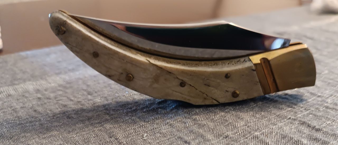 Ivan Corsi Follonica