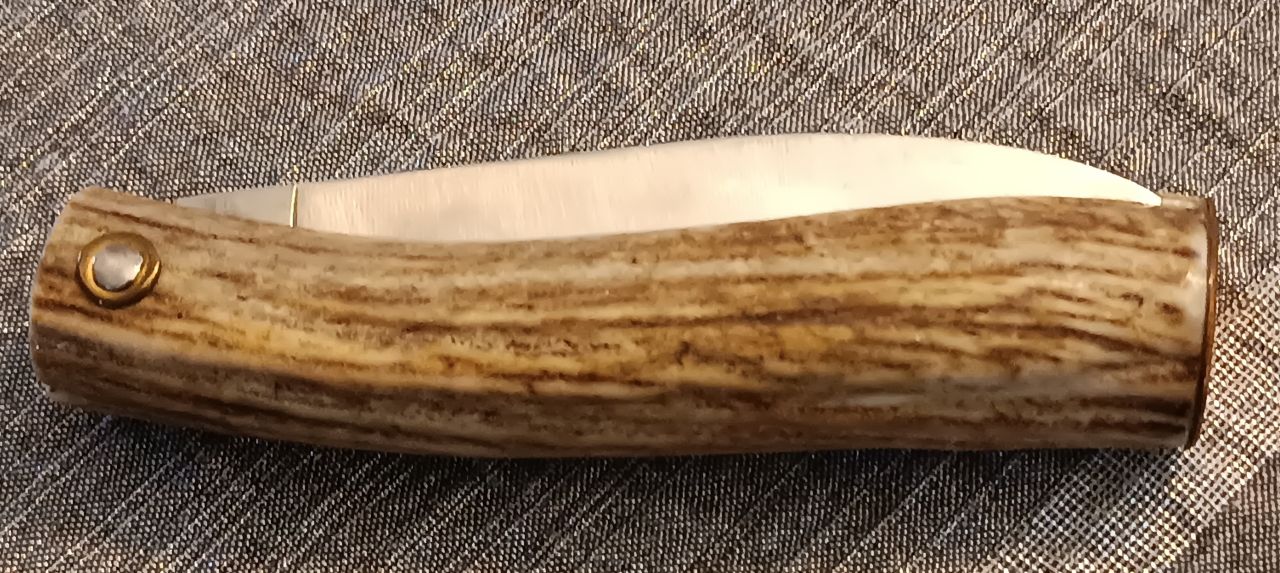 Ivan Corsi Follonica