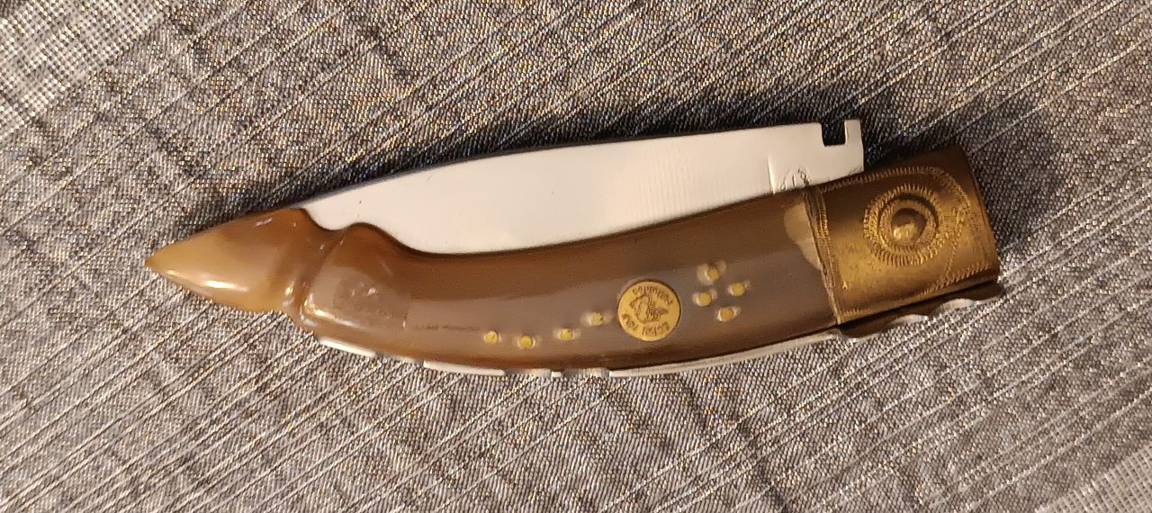 Ivan Corsi Follonica