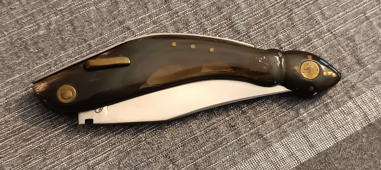 Ivan Corsi Follonica Ivan Corsi Follonica